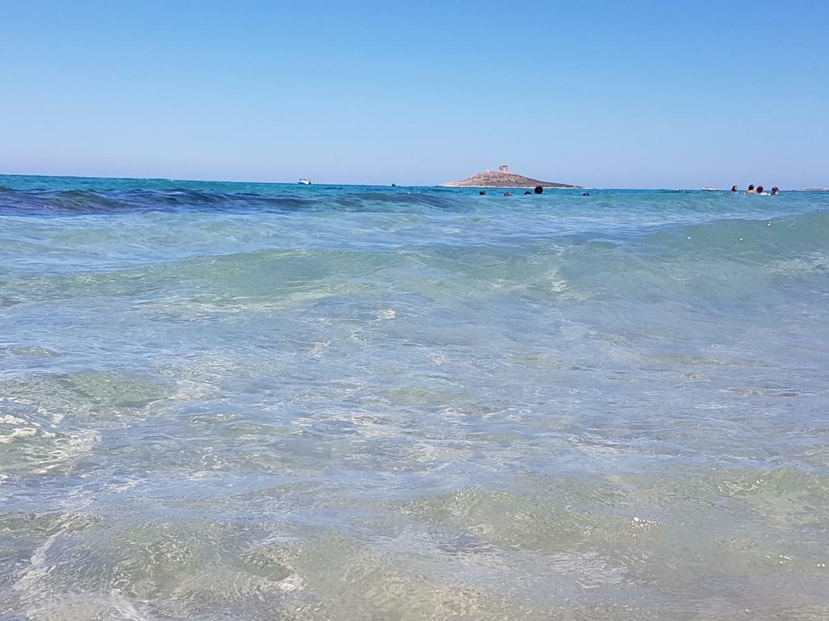 La Rosa Dei Venti Villa Isola delle Femmine Luaran gambar